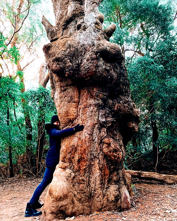 nicolekidman instagram image archive image