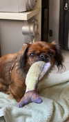 roni_ackerman Altpins Profile Picture