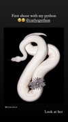 curlyfriesjazz Altpins Profile Picture