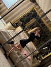 alishenyka Altpins Profile Picture