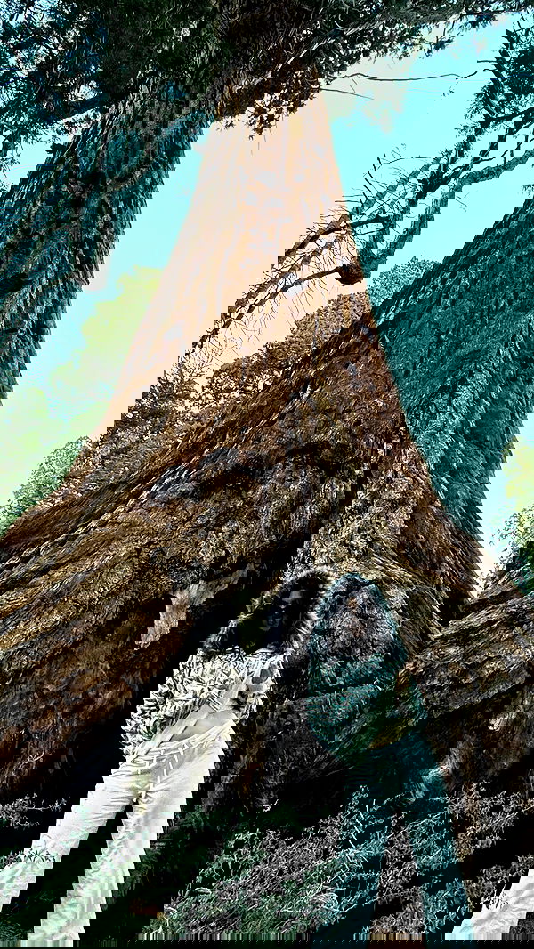 u1ltra u1ltra archive image