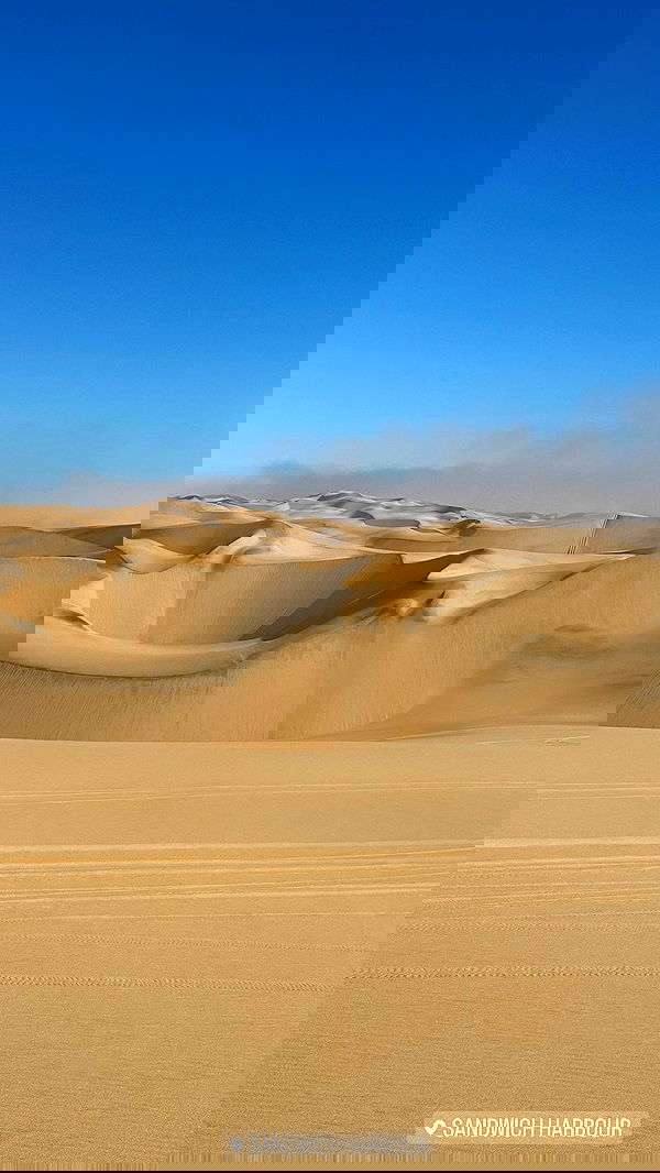 taylor.creeden taylor.creeden archive image