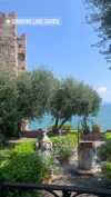 liiza_maarchuk Altpins Profile Picture