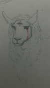 rose_xanne Altpins Profile Picture