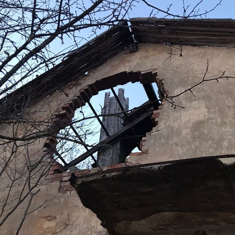 annfigmax instagram image archive image