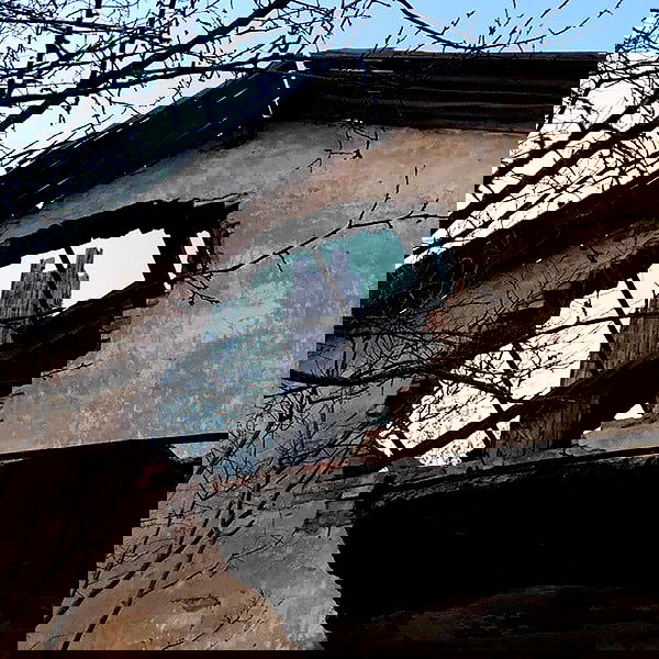 annfigmax image ~ Altpins