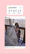 domelipa Altpins Profile Picture