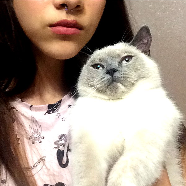 owlydiaa instagram image archive image