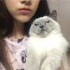 owlydiaa Altpins Profile Picture