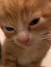 machine_mommy Altpins Profile Picture