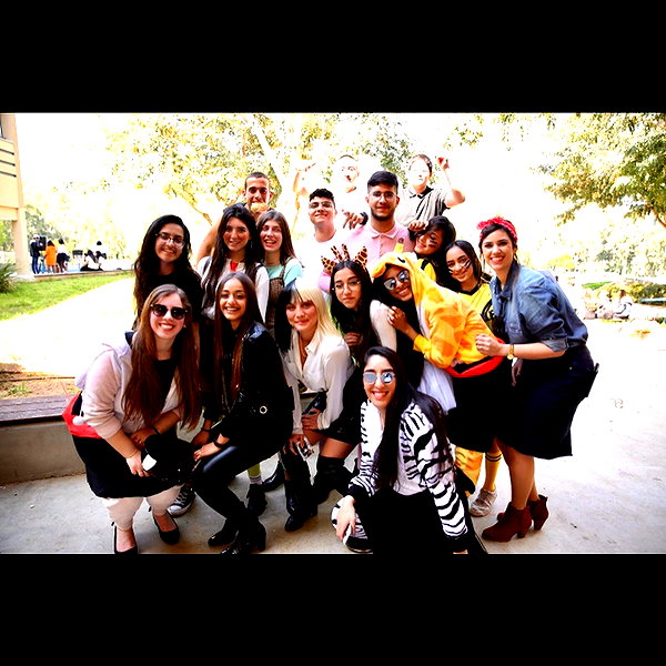 tirtza_cohen instagram image archive image