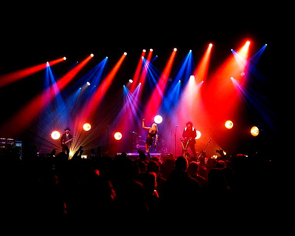 cannonstheband instagram image archive image