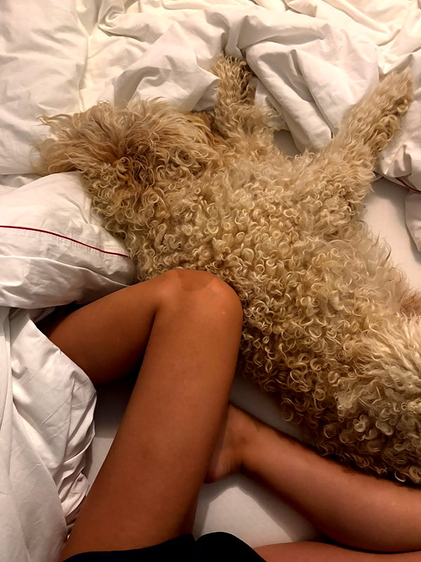 ninastodden instagram image archive image