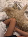 ninastodden Altpins Profile Picture