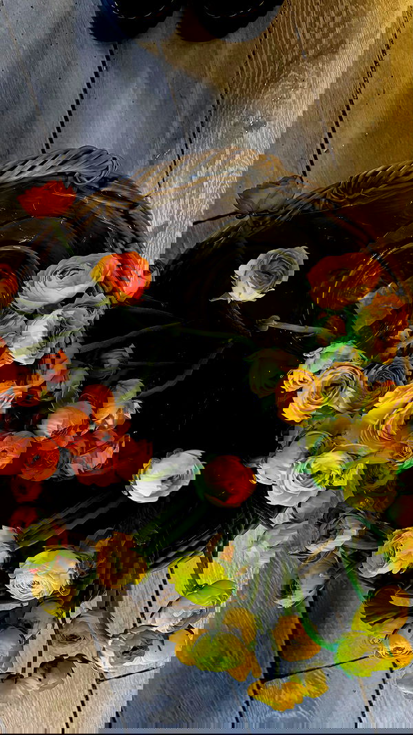 noa_zemlyanski noa_zemlyanski archive image