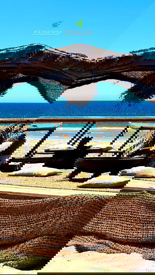 taylor.creeden taylor.creeden archive image