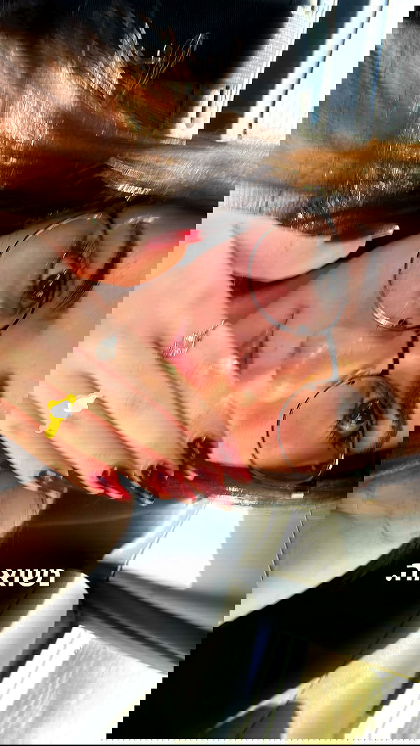 tuliprivet tuliprivet archive image