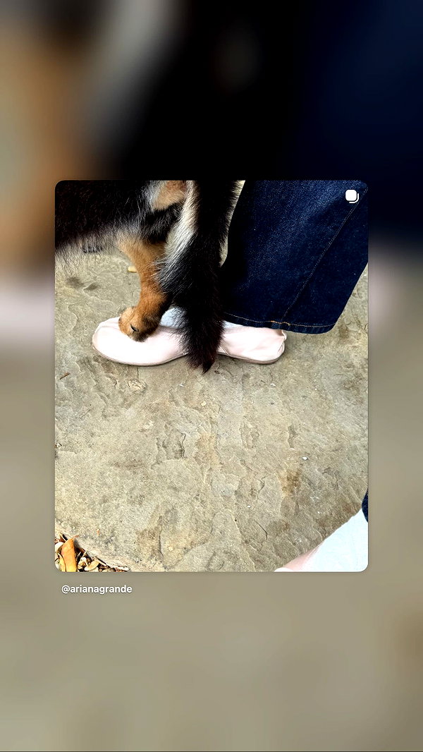 arianagrande instagram image archive image