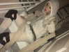 rchhhll Altpins Profile Picture