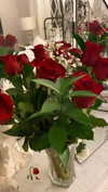 elizabethcampbelljones Altpins Profile Picture