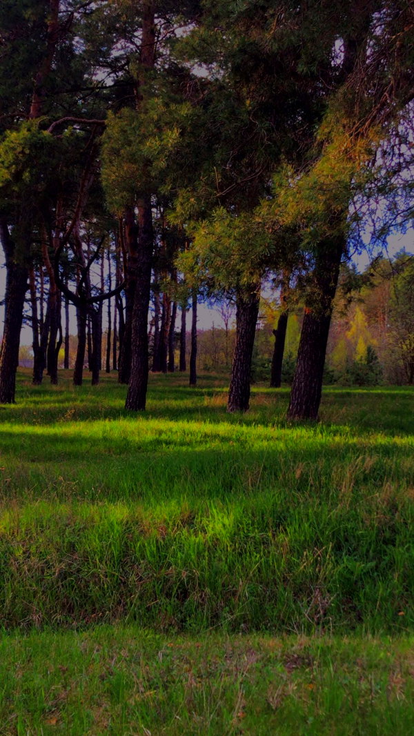 alisen.mari instagram image archive image