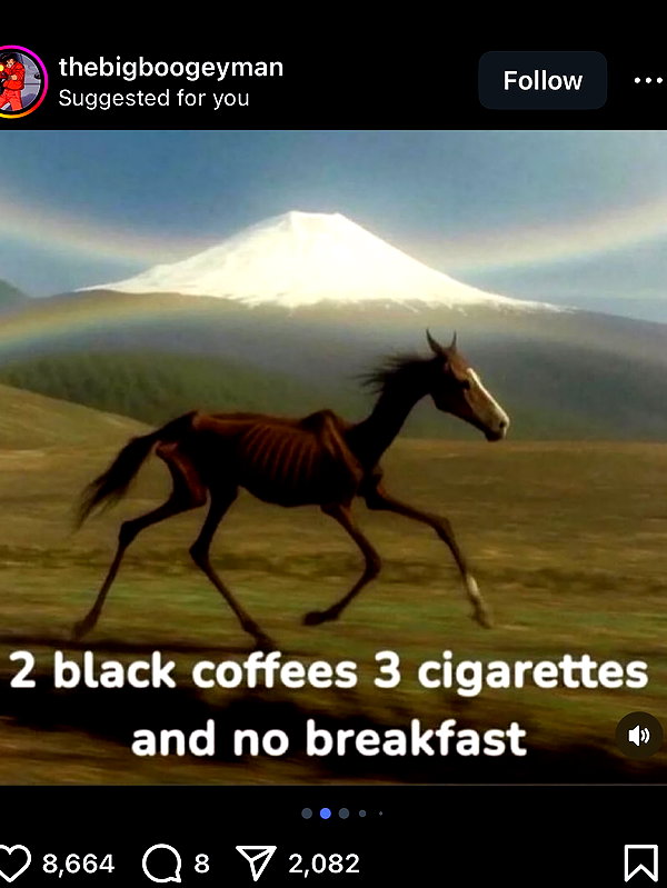 grogusmami instagram image archive image