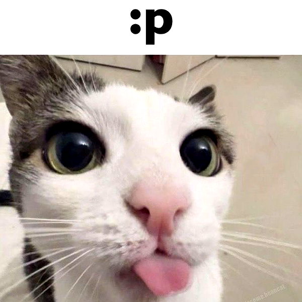 catl0verr69 instagram image archive image