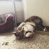 kayyybear Altpins Profile Picture