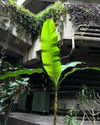 reneeebeller Altpins Profile Picture