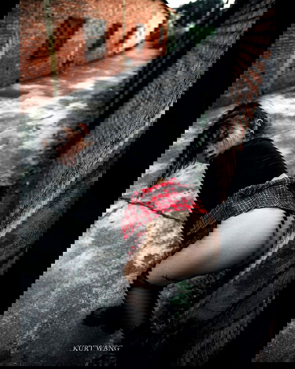 ting851204 ting851204 archive image