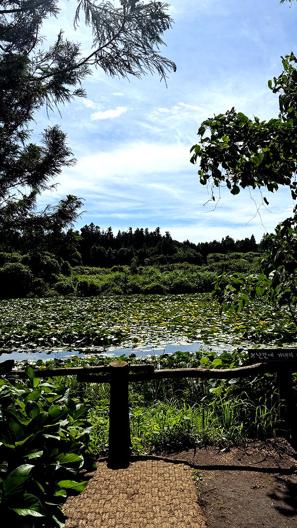 tgiangya instagram image archive image