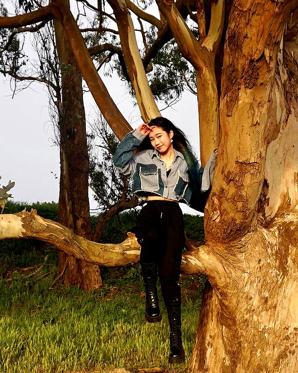 shulunc instagram image archive image