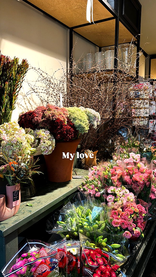 tirtza_cohen instagram image archive image