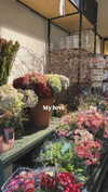 tirtza_cohen Altpins Profile Picture
