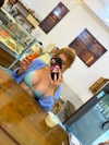 fegalvao_ Altpins Profile Picture
