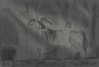 gissell_eli Altpins Profile Picture