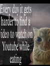 ellaexplicit_ Altpins Profile Picture