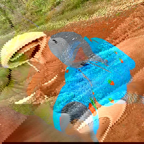 jtilb2 image ~ Altpins