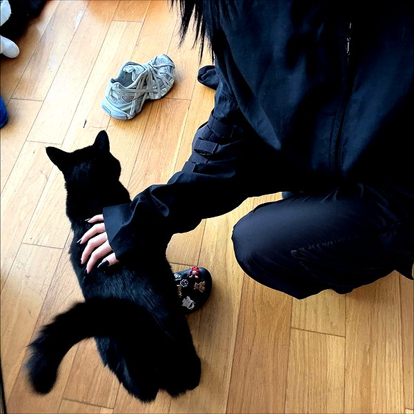 nicoleponyxo instagram image archive image