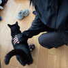 nicoleponyxo Altpins Profile Picture