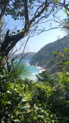 maori_cohen Altpins Profile Picture
