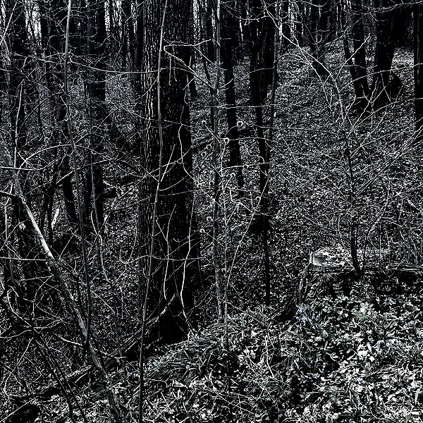hav_oku instagram image archive image