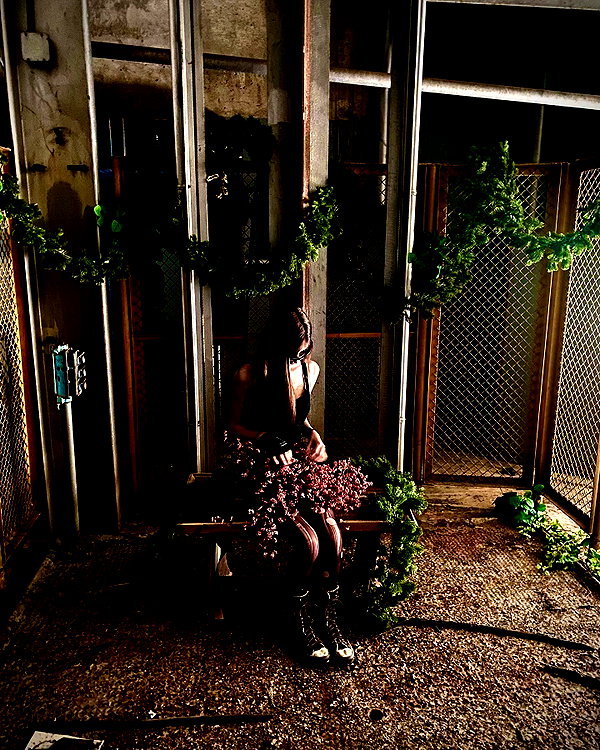 reanidays instagram image archive image