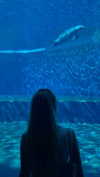 by.diwwa Altpins Profile Picture