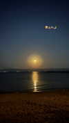 yasmin_kb Altpins Profile Picture