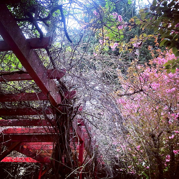 caterpiekae instagram image archive image