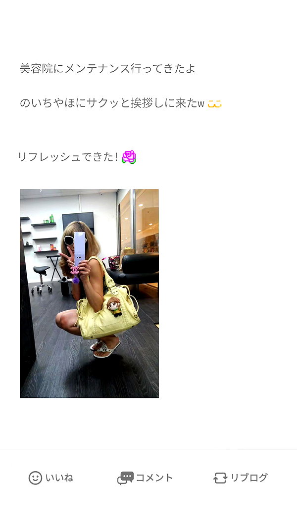 Archived image from @piyokoblog on Instagram
