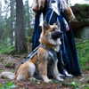 thenerdforge Altpins Profile Picture