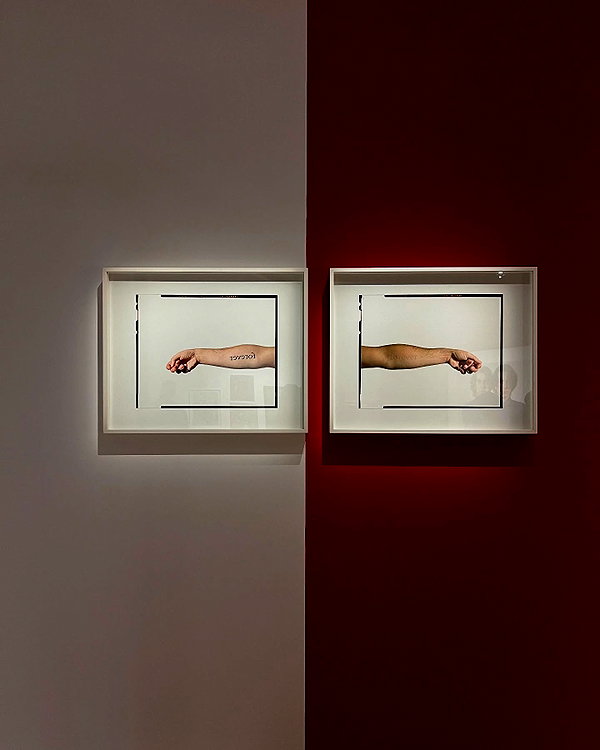 levsave instagram image archive image