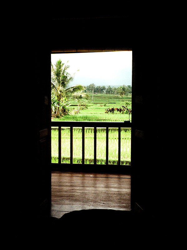 pia__kim instagram image archive image